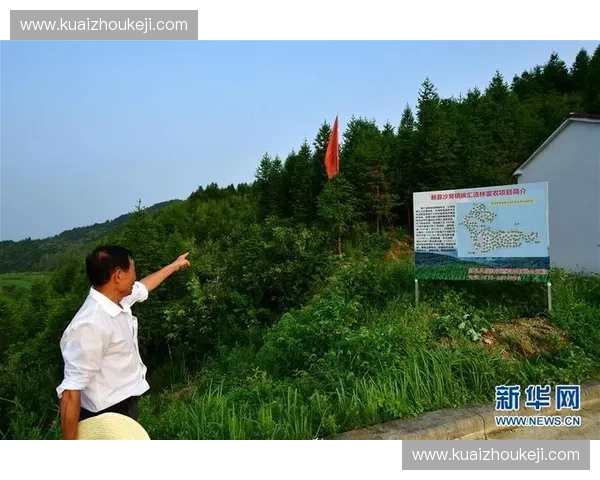 体育版权交易驱动下赛事价值重构与产业生态协同发展新路径探索 体育版权交易驱动下赛事价值重构与产业生态协同发展新路径探索